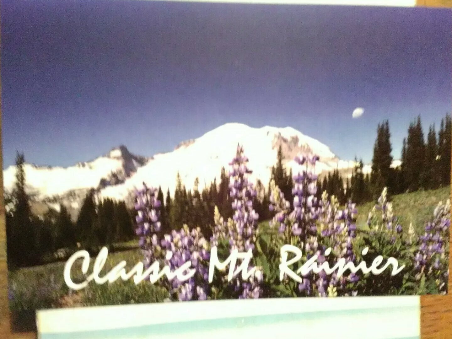 AMAZING POST CARD CLASSIC MT.RAINIER WASHINGTON.