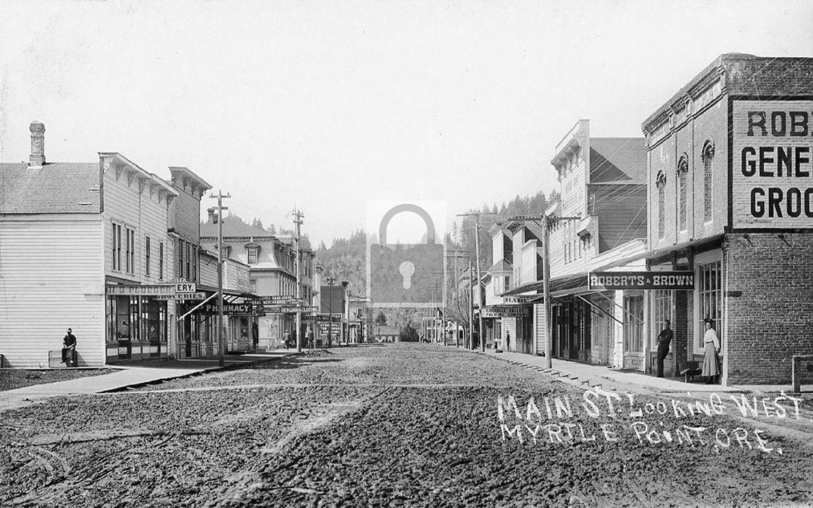 1908 Main Street View Myrtle Point Oregon OR – Reprint