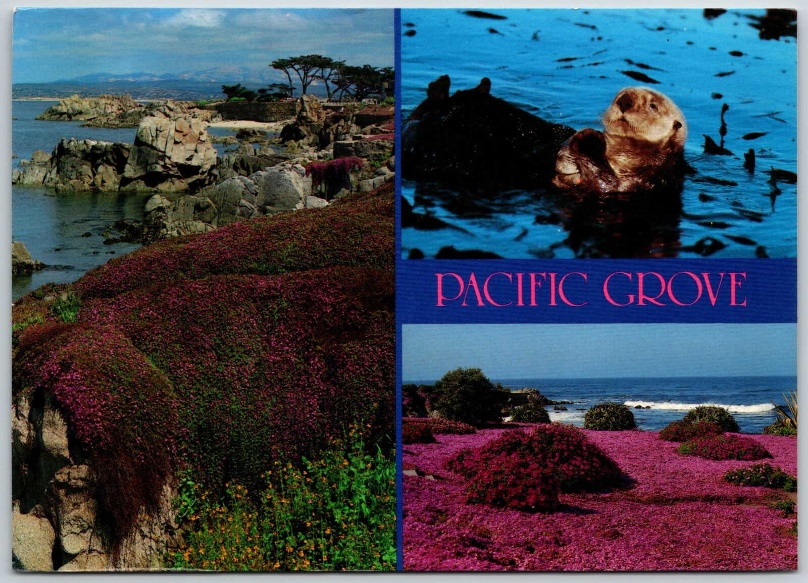 Pacific Grove Views, California – Postcard