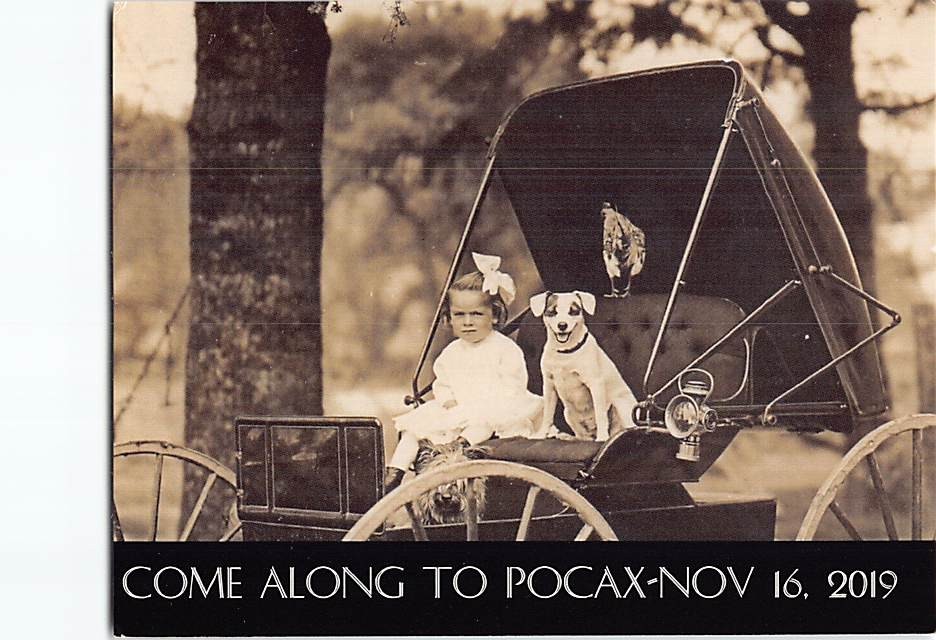 Postcard Girl & Dog on A Carriage Come Along to Pocax Nov. 16 2019