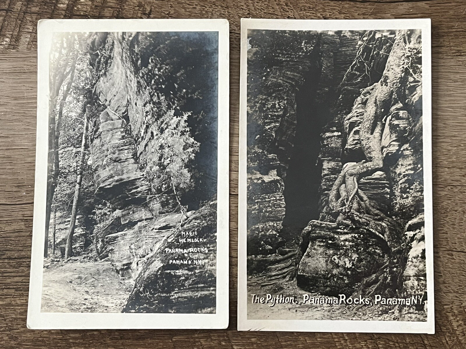 Lot/2 Panama Rocks, Magic Hemlock & Python, NY Antique Real Photo Postcards RPPC