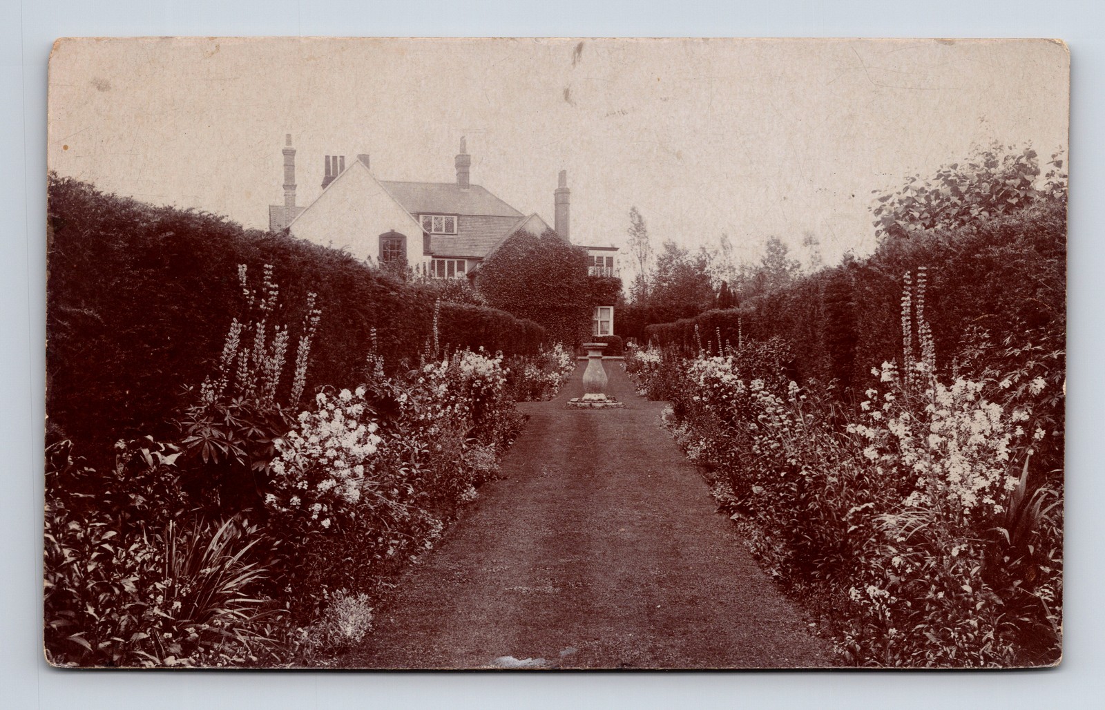 RPPC Beautiful Flowered Garden Path Unknown Location England UK Postcard