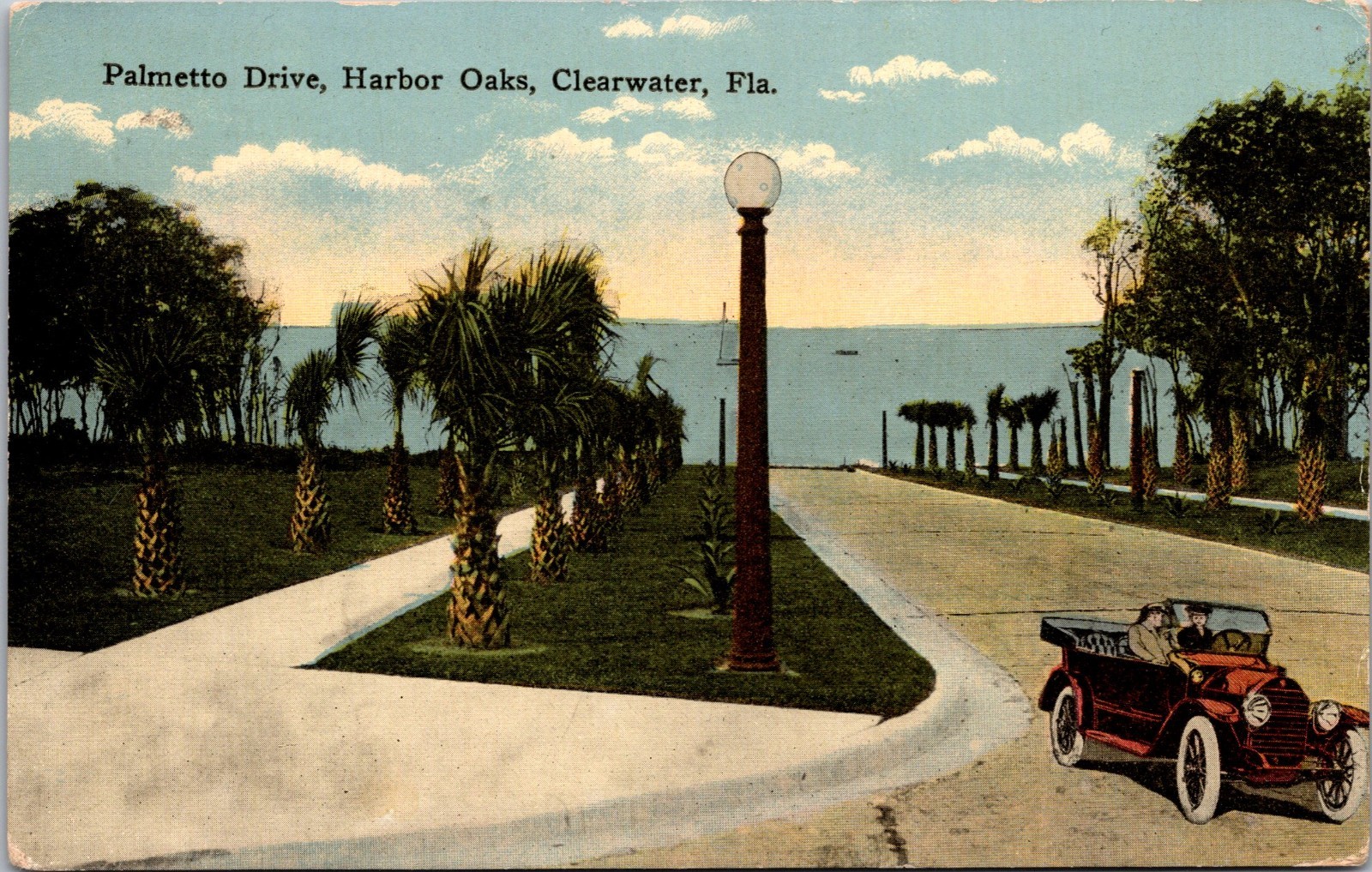 Palmetto Drive, Harbor Oaks, Clearwater Florida Fl. Postcard Posted 1917