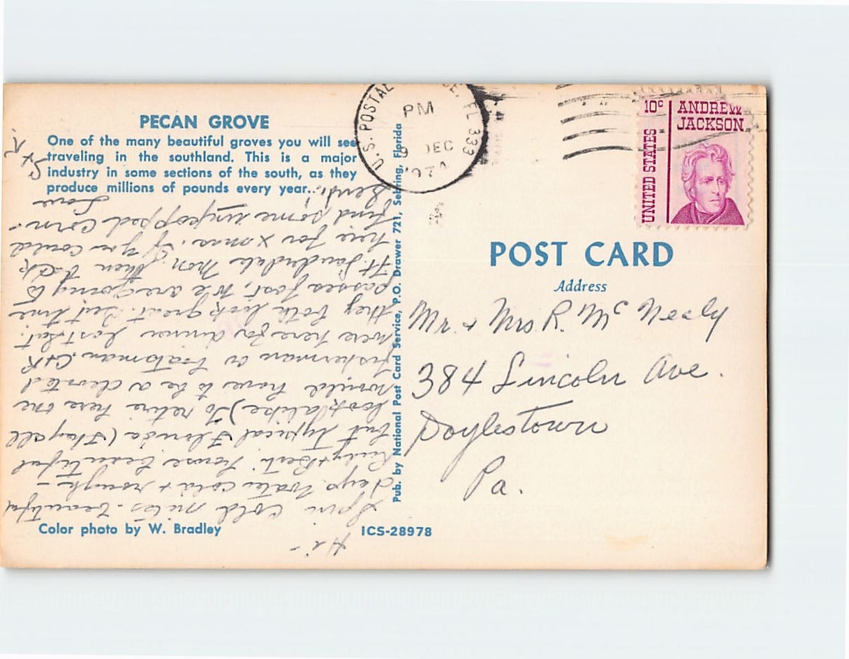 Postcard Pecan Grove