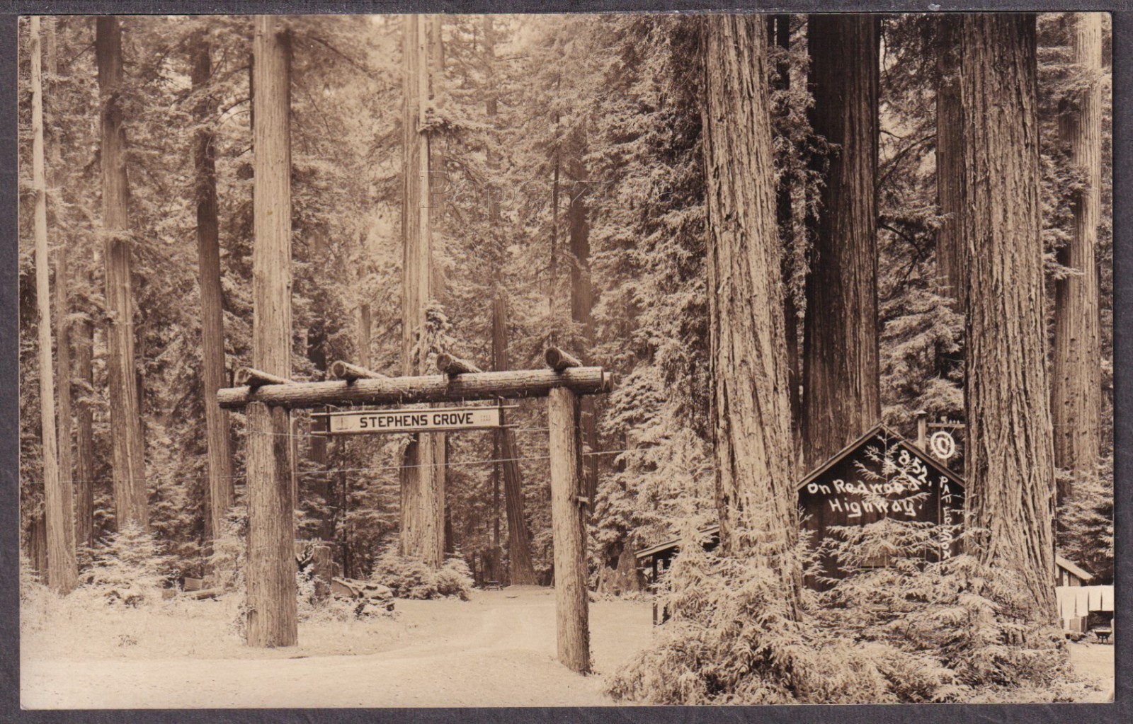 CA Miranda RPPC c.1930 STEPHENS REDWOOD GROVE FREE CAMP on HWY 101 Patterson 852