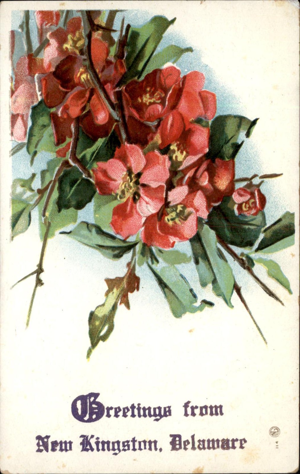 New Kingston Delaware DE Flowers c1900s-10s Vintage Postcard