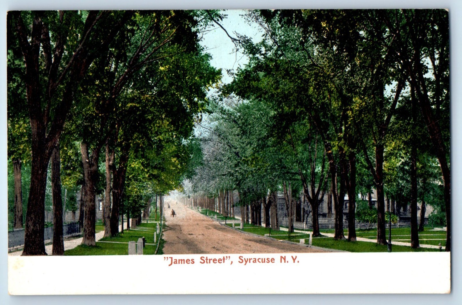 1905 Syracuse New York Vintage Postcard James Street Scenic View Trees Unposted