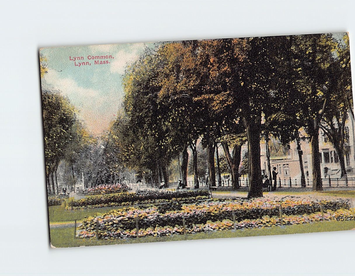 Postcard Lynn Common Lynn Massachusetts USA