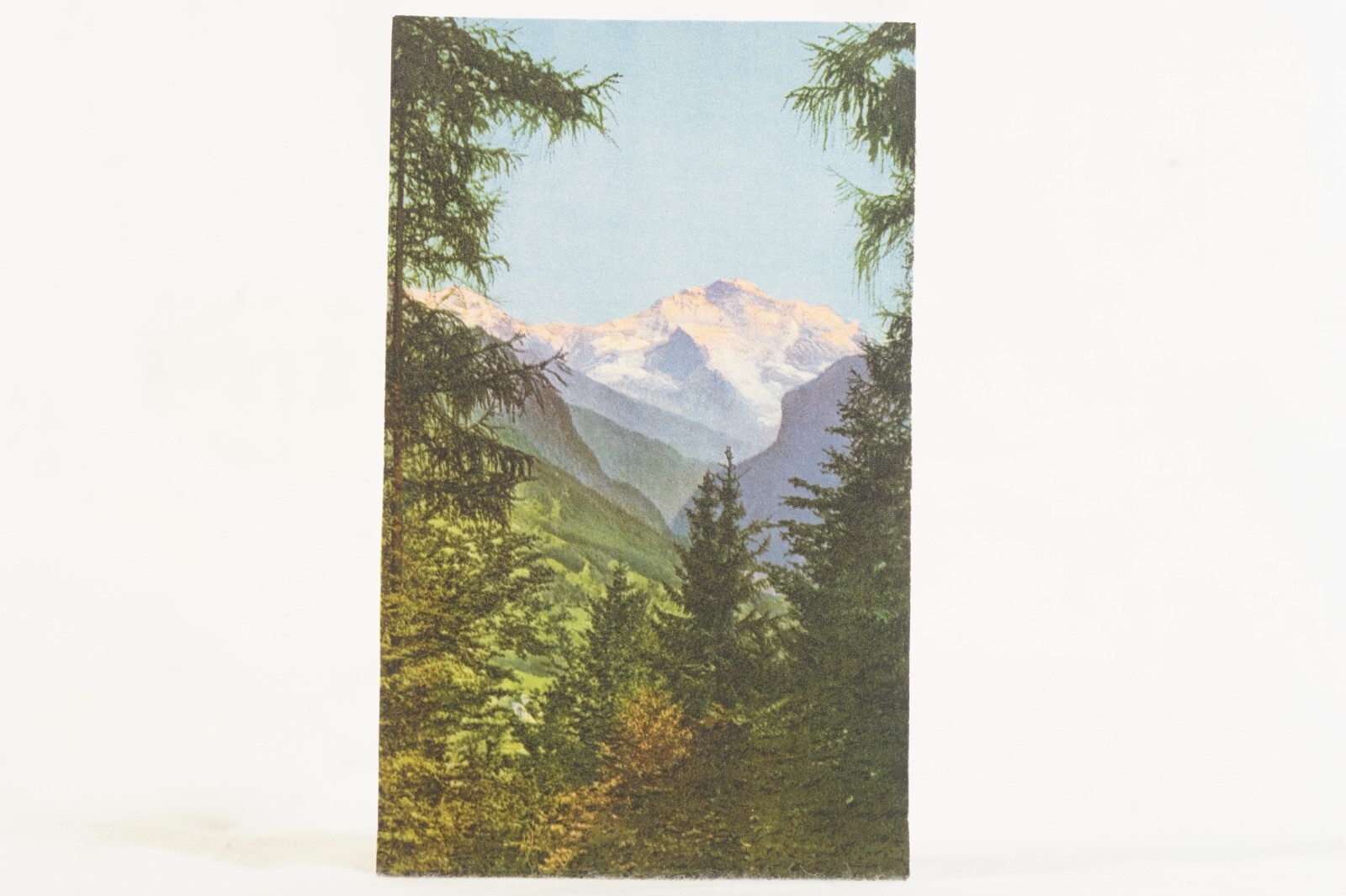 Antique Photograph Sunset on Jungfrau Landscape Snowy Mountains Foliage Postcard