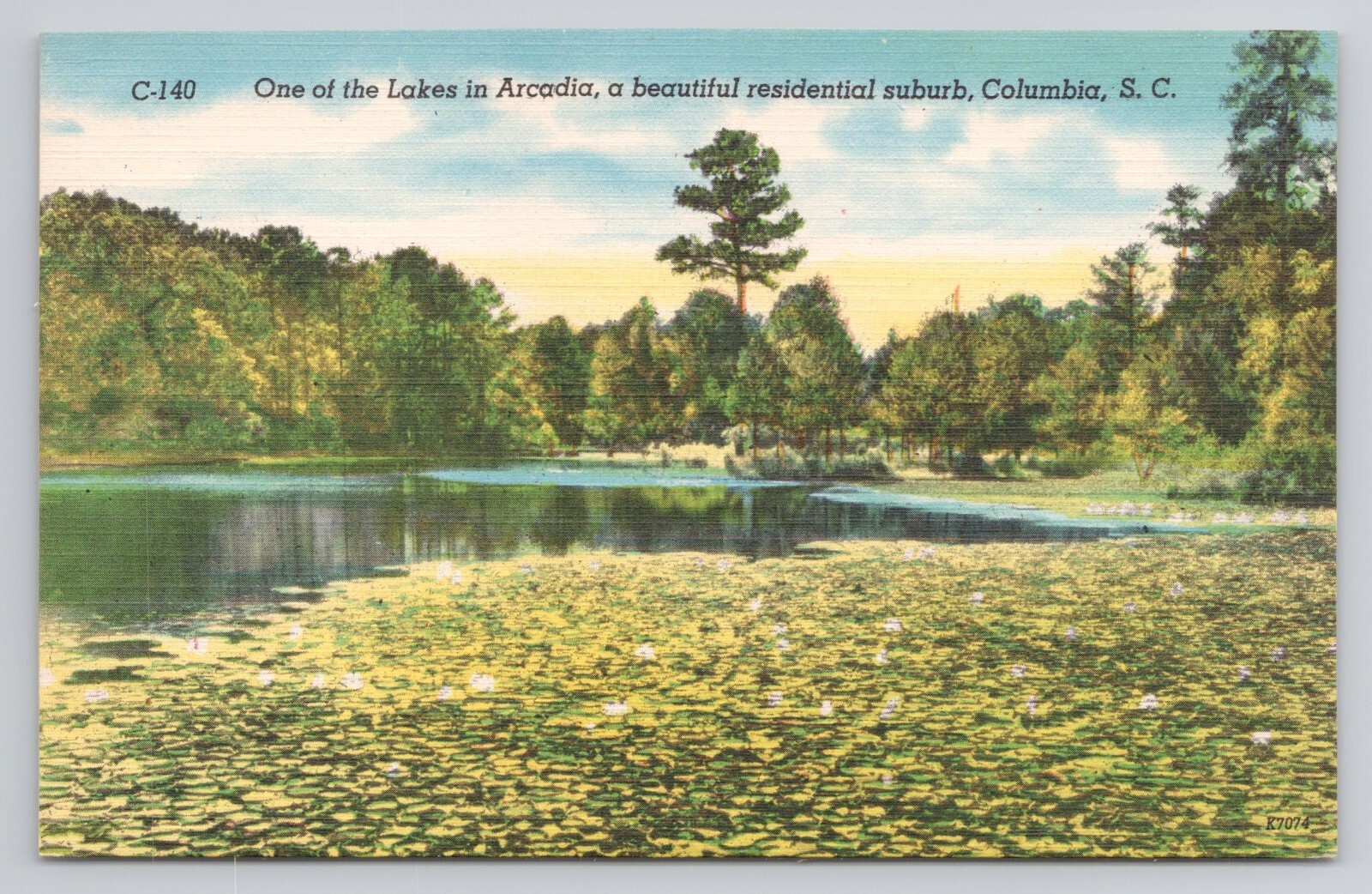 Lakes Arcadia Columbia South Carolina Postcard