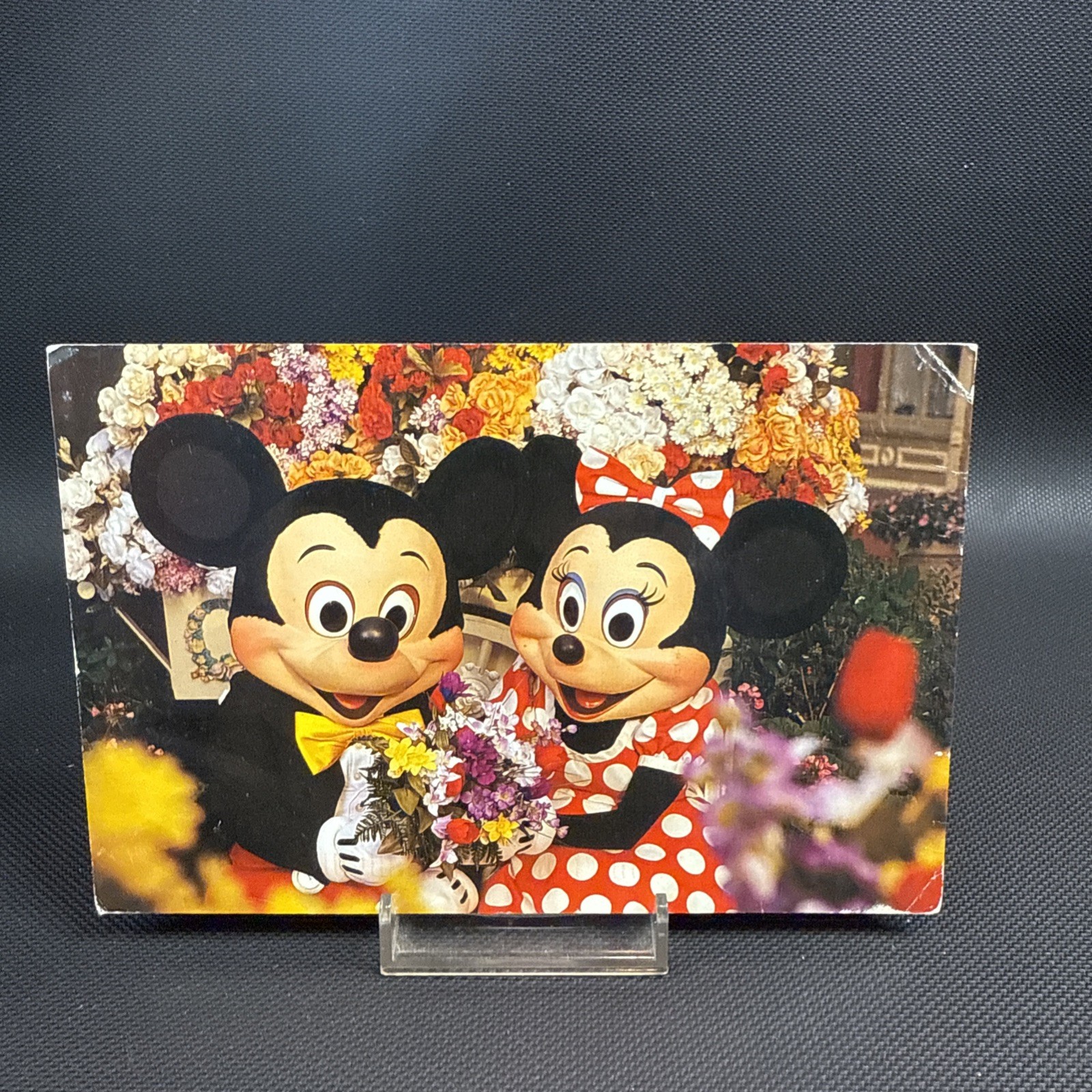 Walt Disney World Mickey & Minnie Mouse Magic Kingdom Main Street postcard card