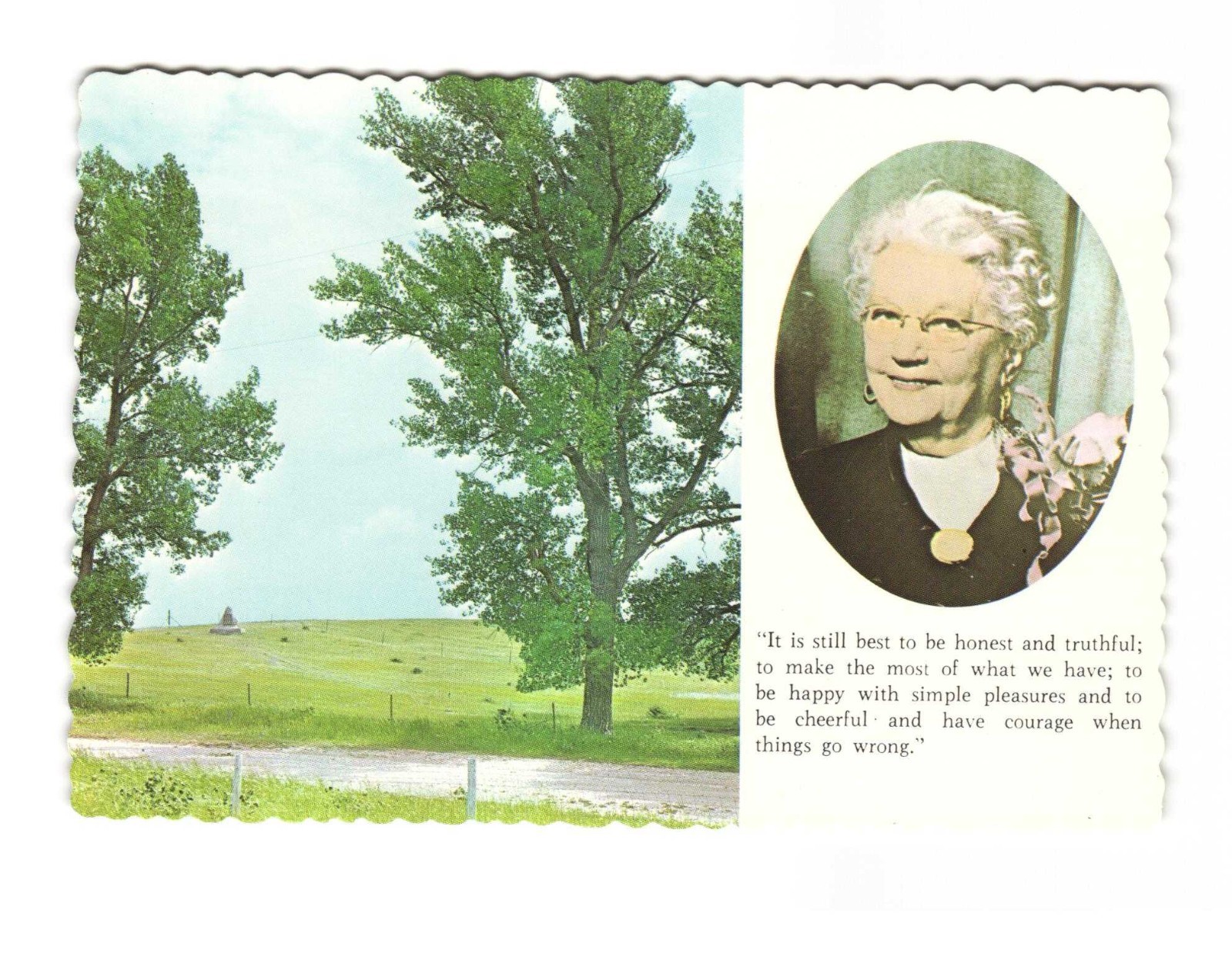 Original cottonwoods planted by Pa Ingalls cast shadows on the Prairie postcard