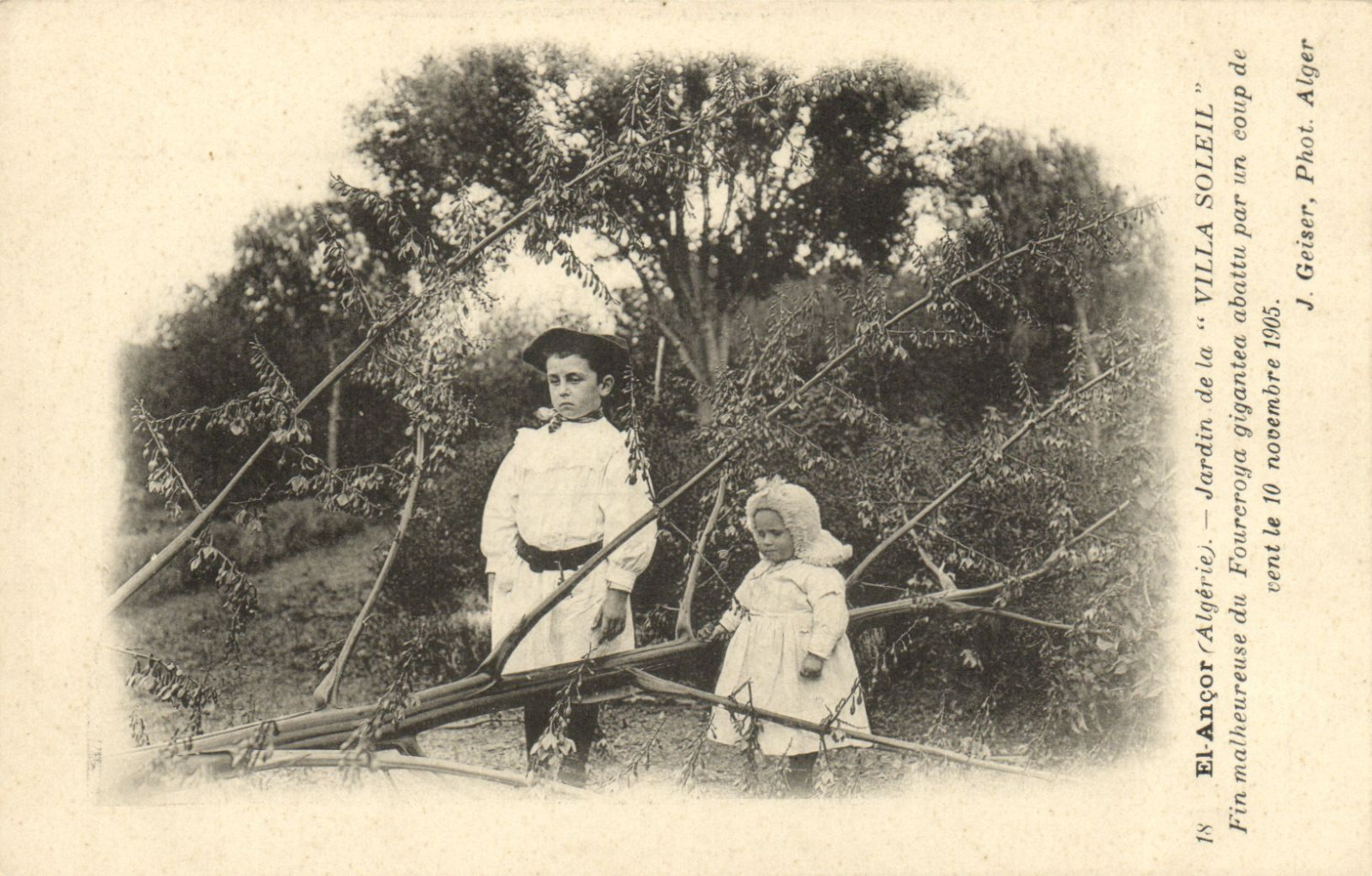 PC CPA ALGERIA, EL-ANCOR, JARDIN DE LA VILLA, J. GEISER, (b8578)