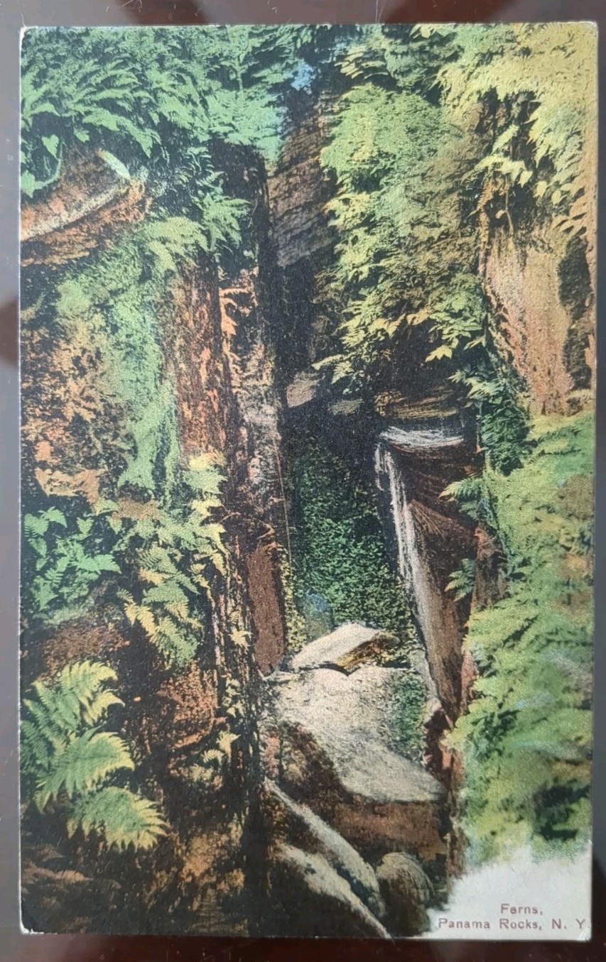 Ferns, Panama Rocks, NY – 1909, Rough Edges