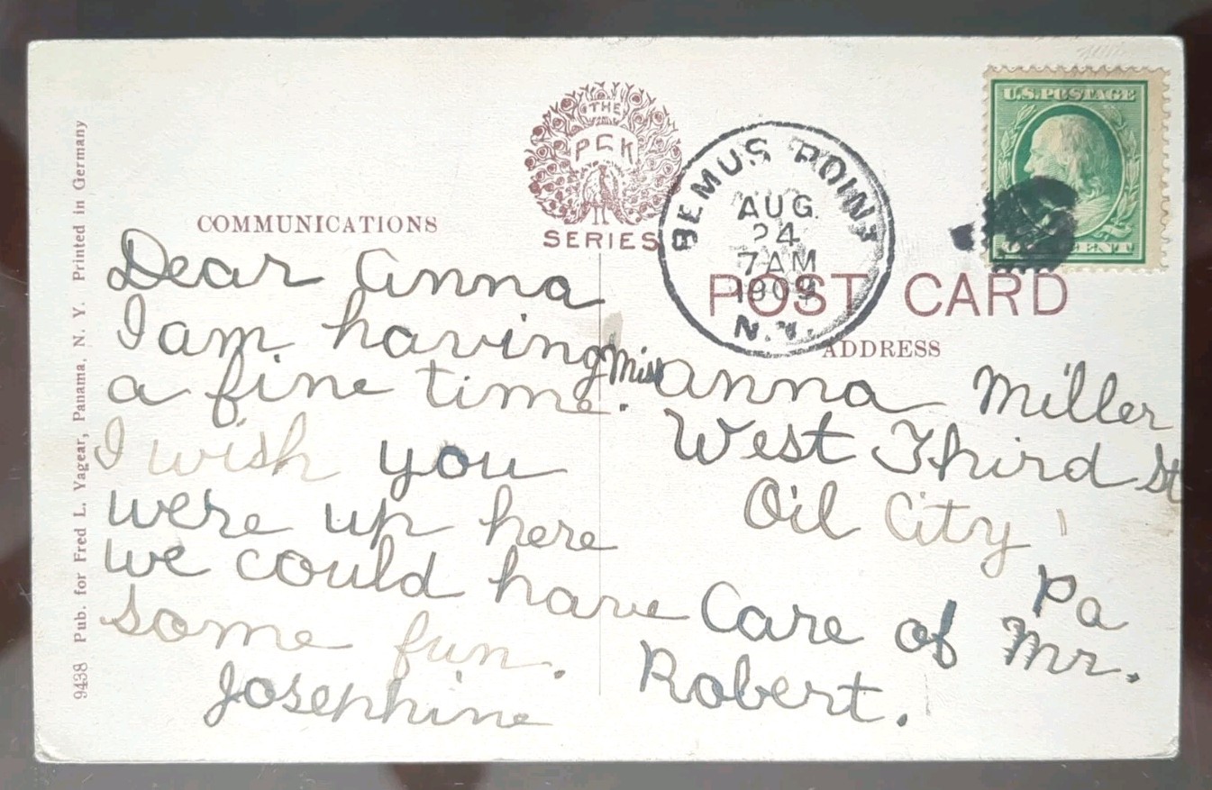 Ferns, Panama Rocks, NY – 1909, Rough Edges
