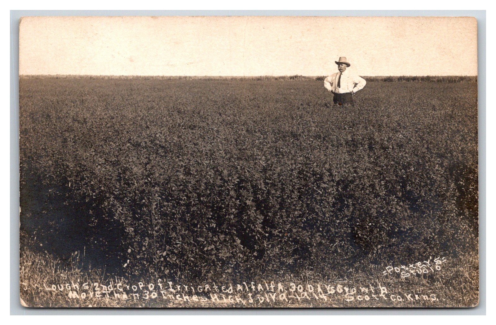 Scott city KANSAS RPPC Jw. Lough’s Alfafa Farm ~ 30 days growth Scott county