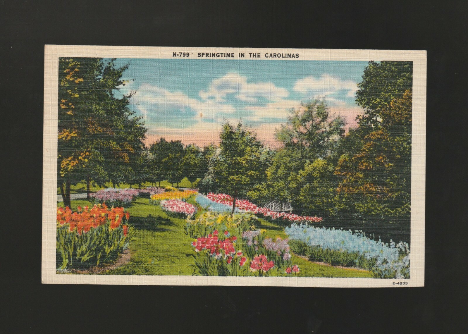Linen Postcard Springtime in Carolinas Flowers Trees