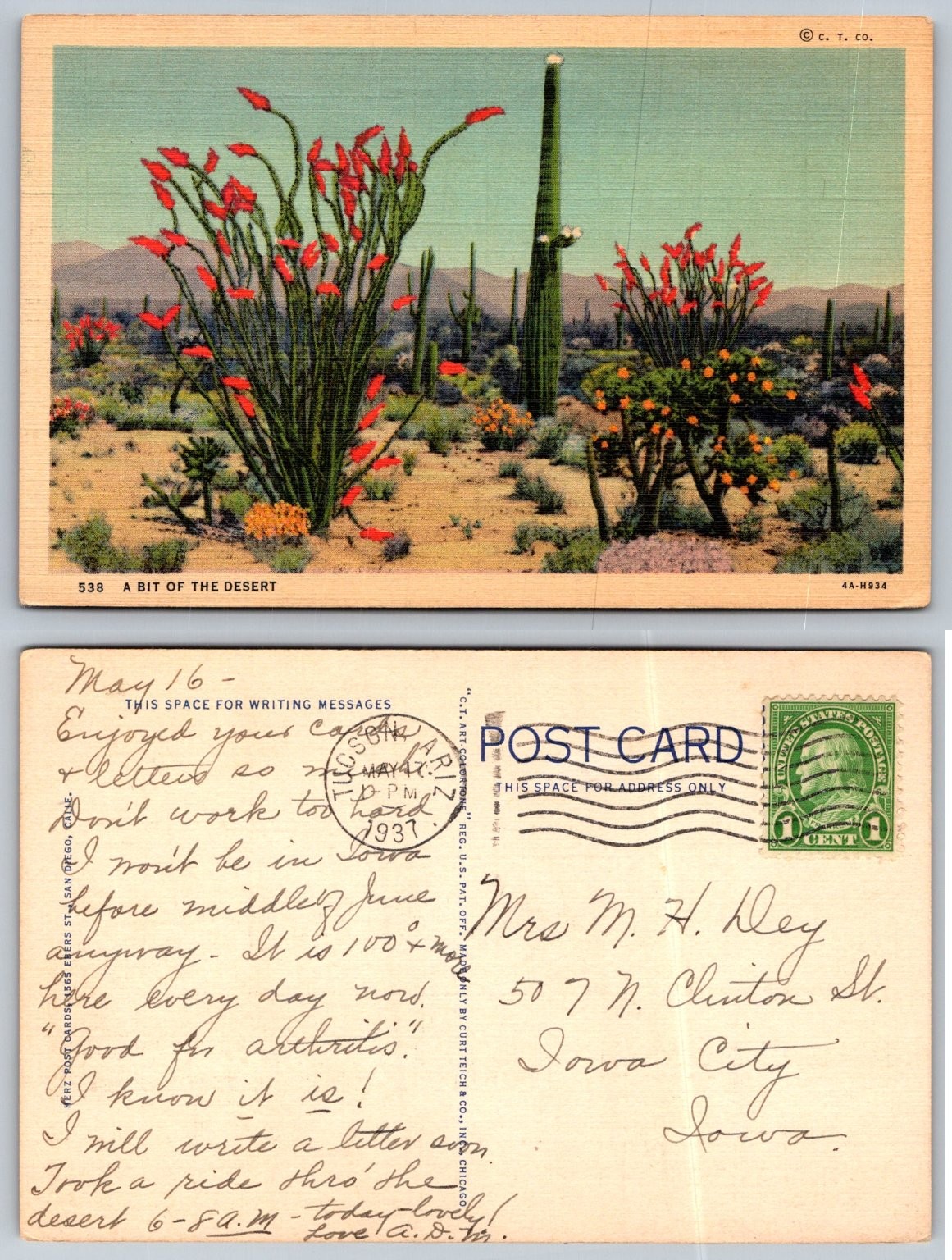 1937 Tucson Arizona Desert Saguaro Ocotillo Cactus Linen Postcard