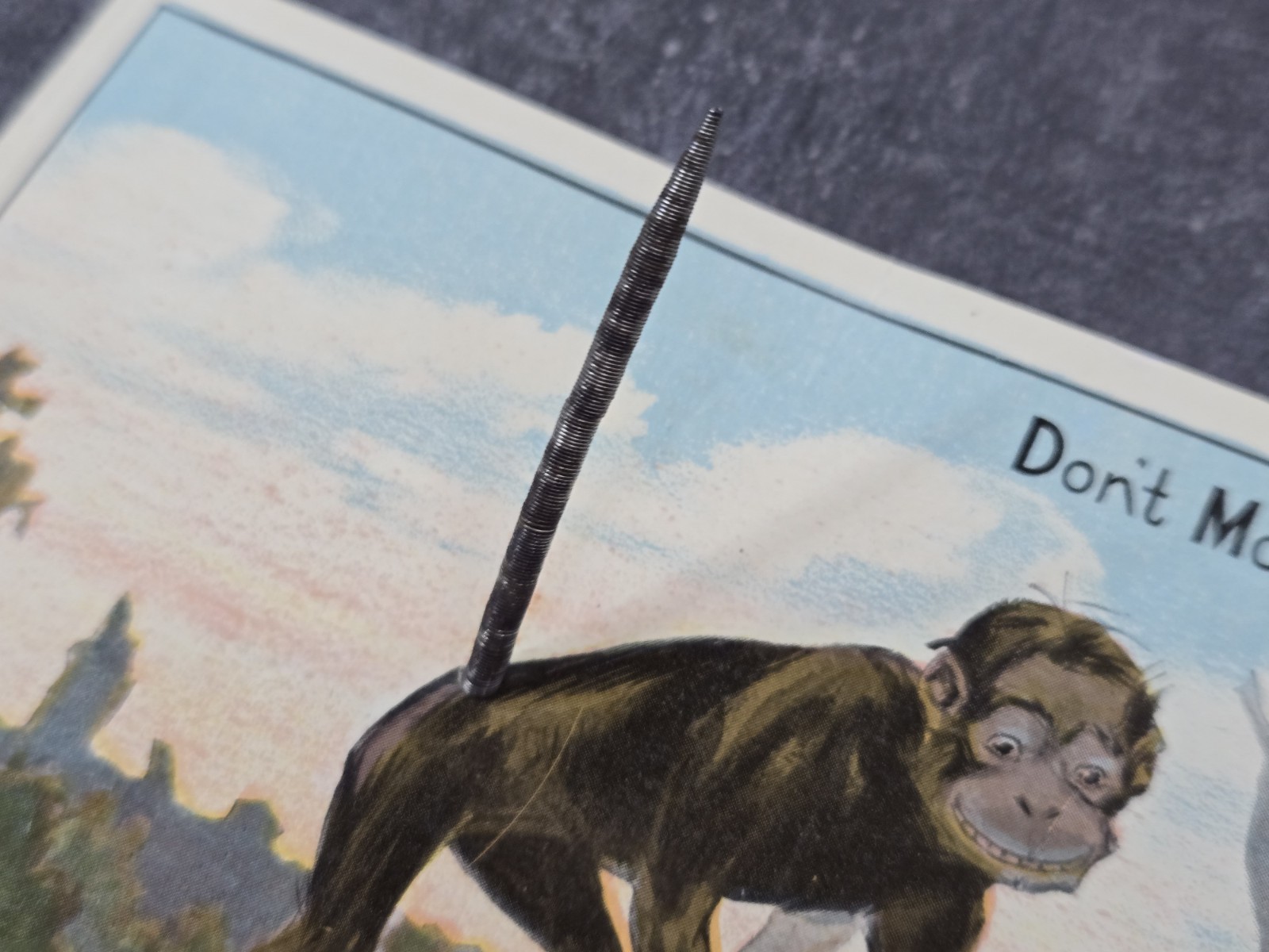 Vintage 1911 Color Animal Postcard Monkey w/ Metal 3-D Tail