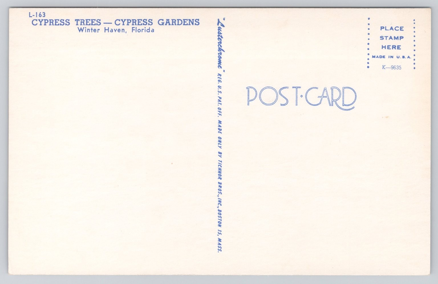 Cypress Trees Winter Haven Florida Postcard Tichnor Bros Austerchrome