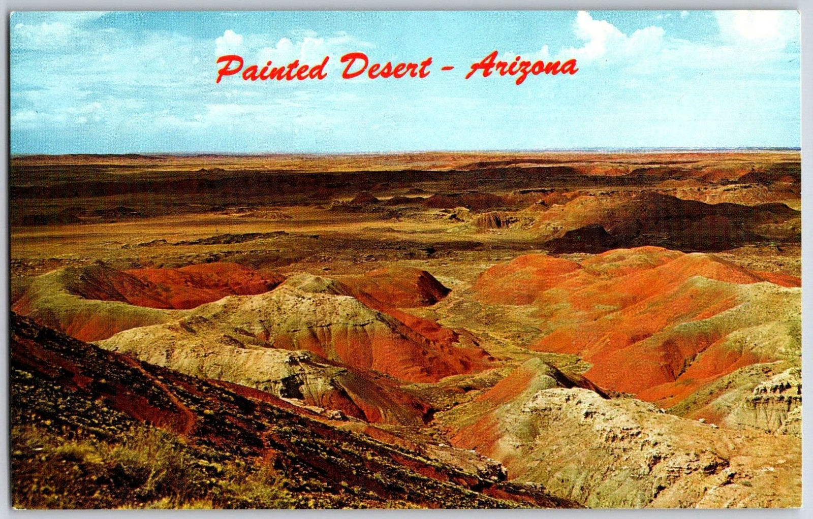 Painted Desert Arizona Scenic View Vintage Postcard Grizzly Feathers