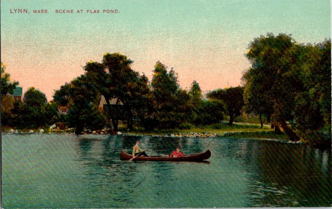 Vintage Postcard Lynn Massachusetts Scene at Flax Pond Canoe