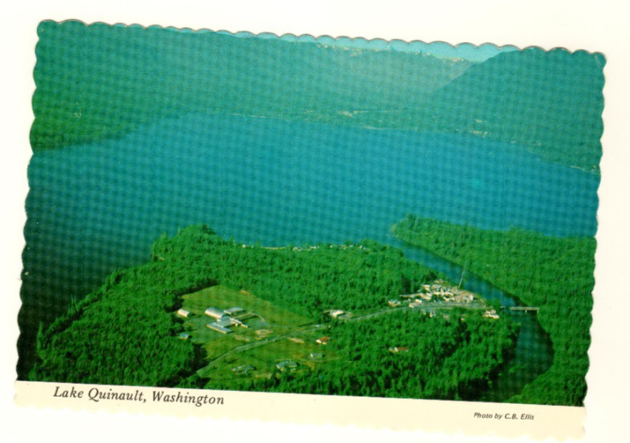 Lake Quinault And Amanda Park Washington Unposted Postcard