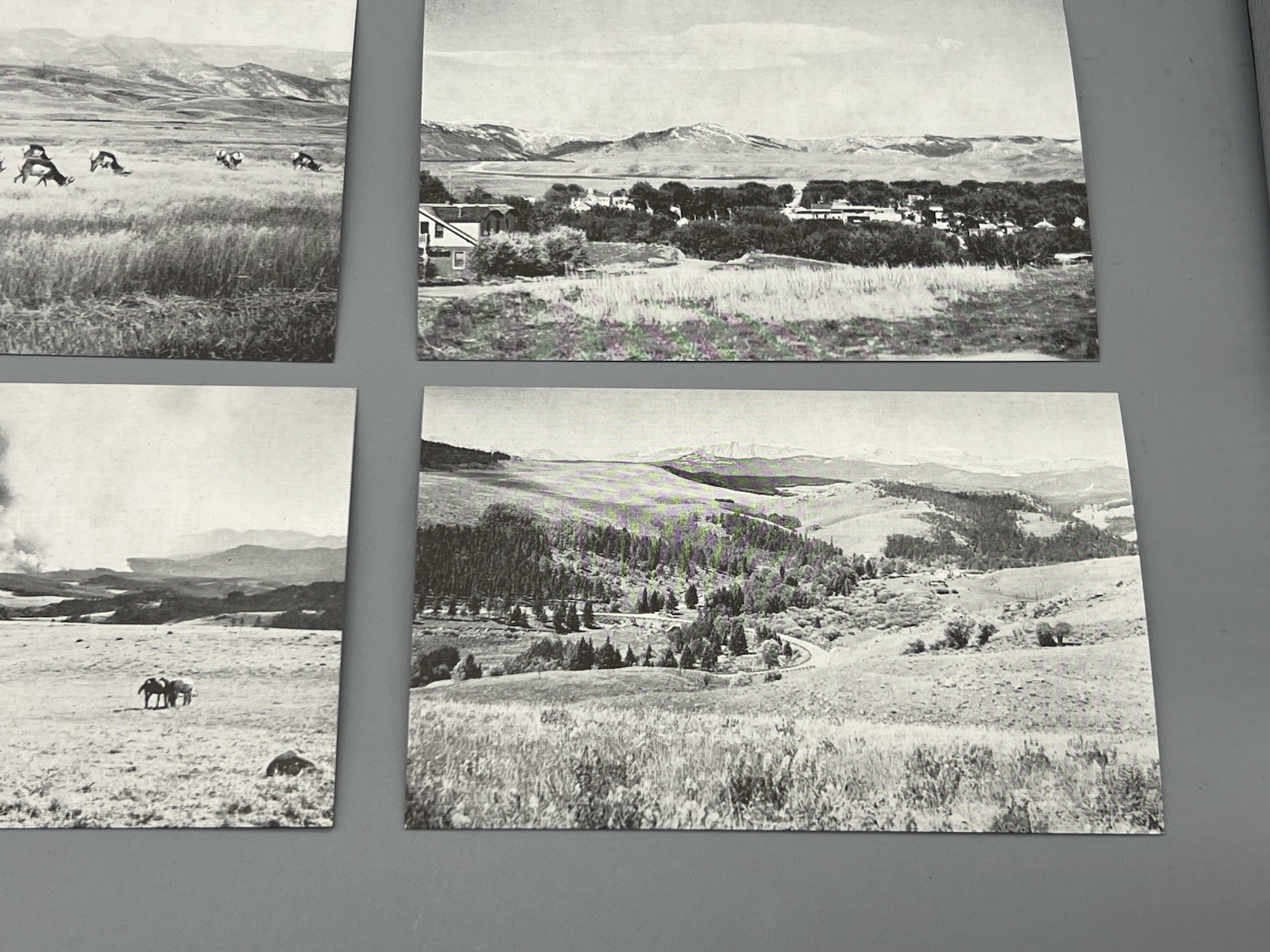 1940s E.C. Kropp Postcards – Buffalo WY & Bighorn Mtn’s Near Mint Lot of 11