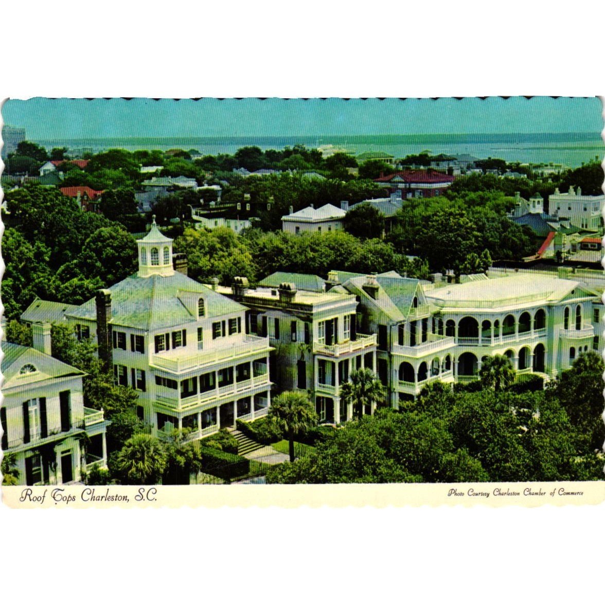 Vintage 1975 Charleston SC Postcard Roof Tops Near The Battery Dexter Sovereign