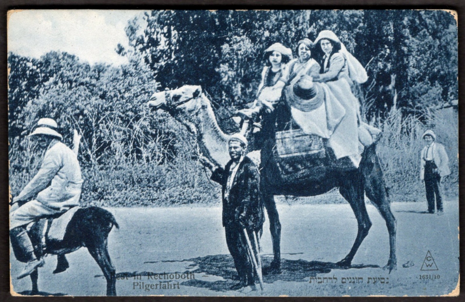 ISRAEL Postcard 1910s Judaica Rechoboth Pilgrimage Camel