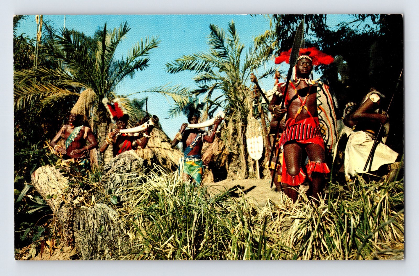 Disneyland Anaheim California Jungle Drum Chant Adventureland 1960s Postcard