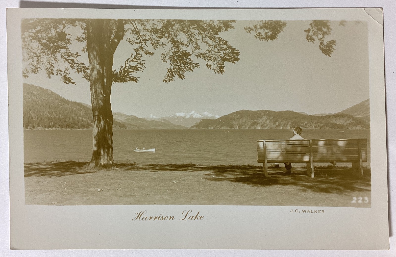 Harrison Lake British Columbia Canada Real Photo Vintage RPPC Postcard Unposted