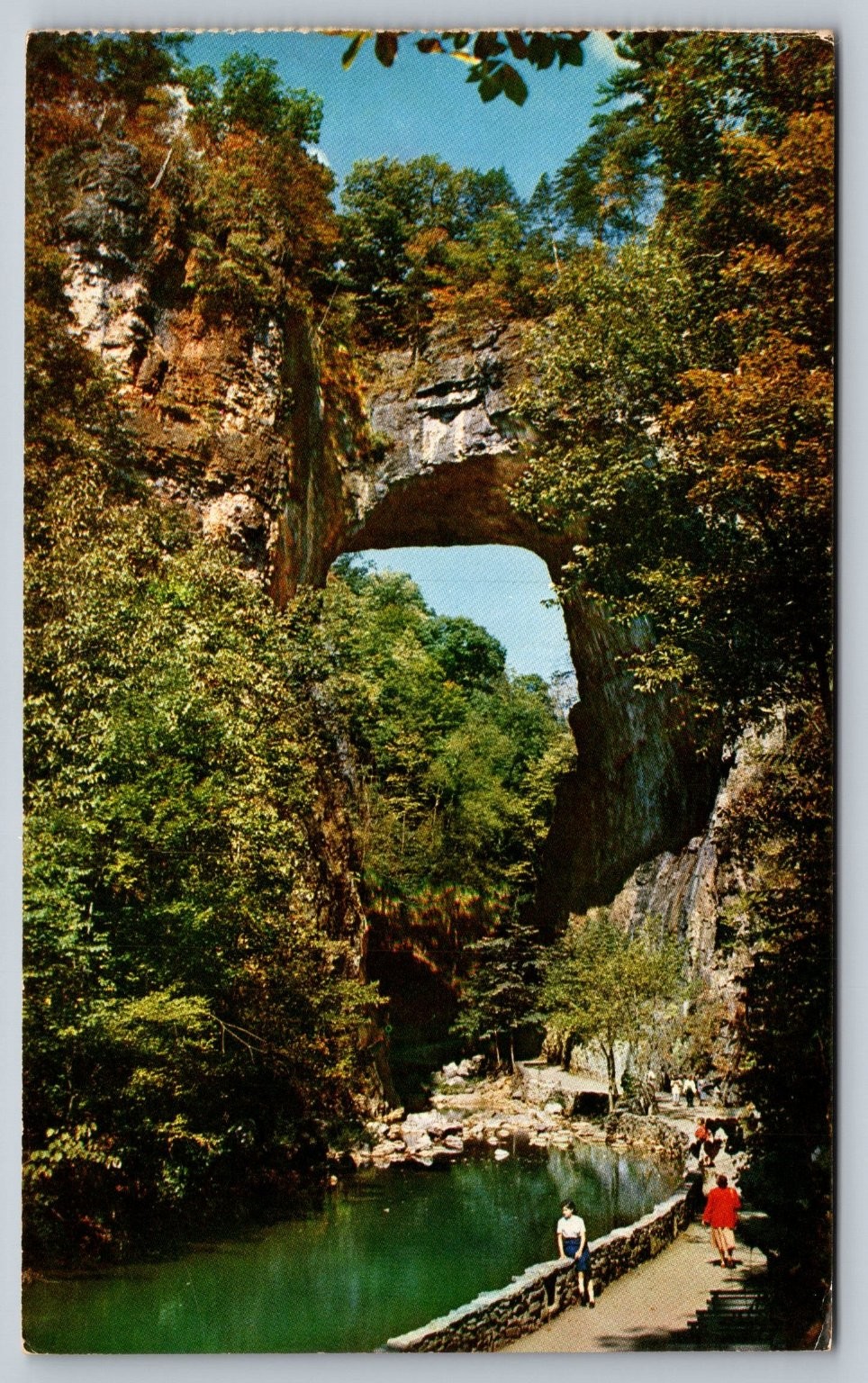 Vintage Natural Bridge Virginia Scenic Postcard by Mill & Art Col