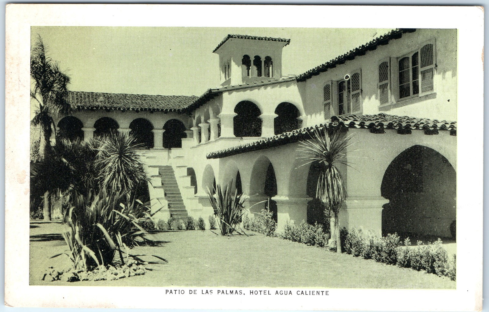 c1920s Tijuana, Mexico Hotel Agua Caliente Patio Palmas Spanish Colonial A360