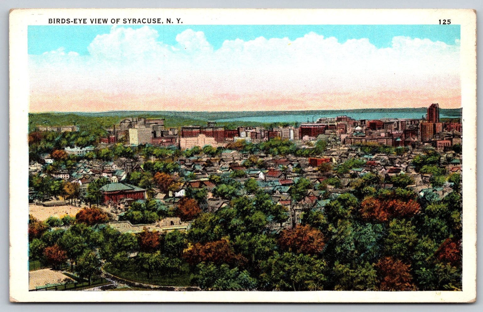 Birds-Eye View Syracuse NY Cityscape Vintage Postcard Miller Paper Co AA720