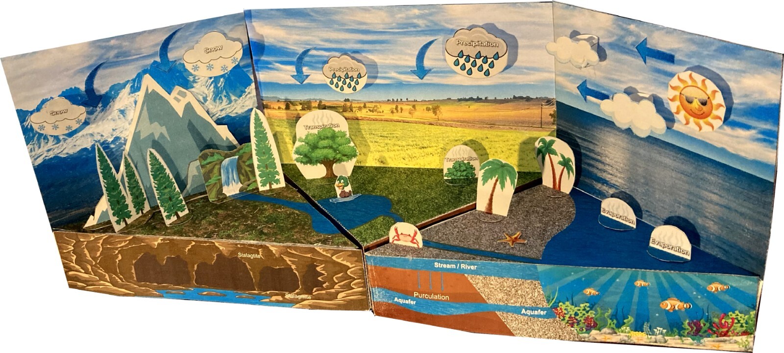 Water Cycle, Evaporation, Precipitation, Rain, & Snow Paper Model Project Kit