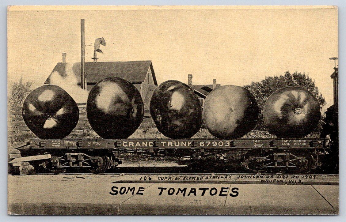 Giant Tomatoes on Train Car Photochrome Era 1945 Now Rppc