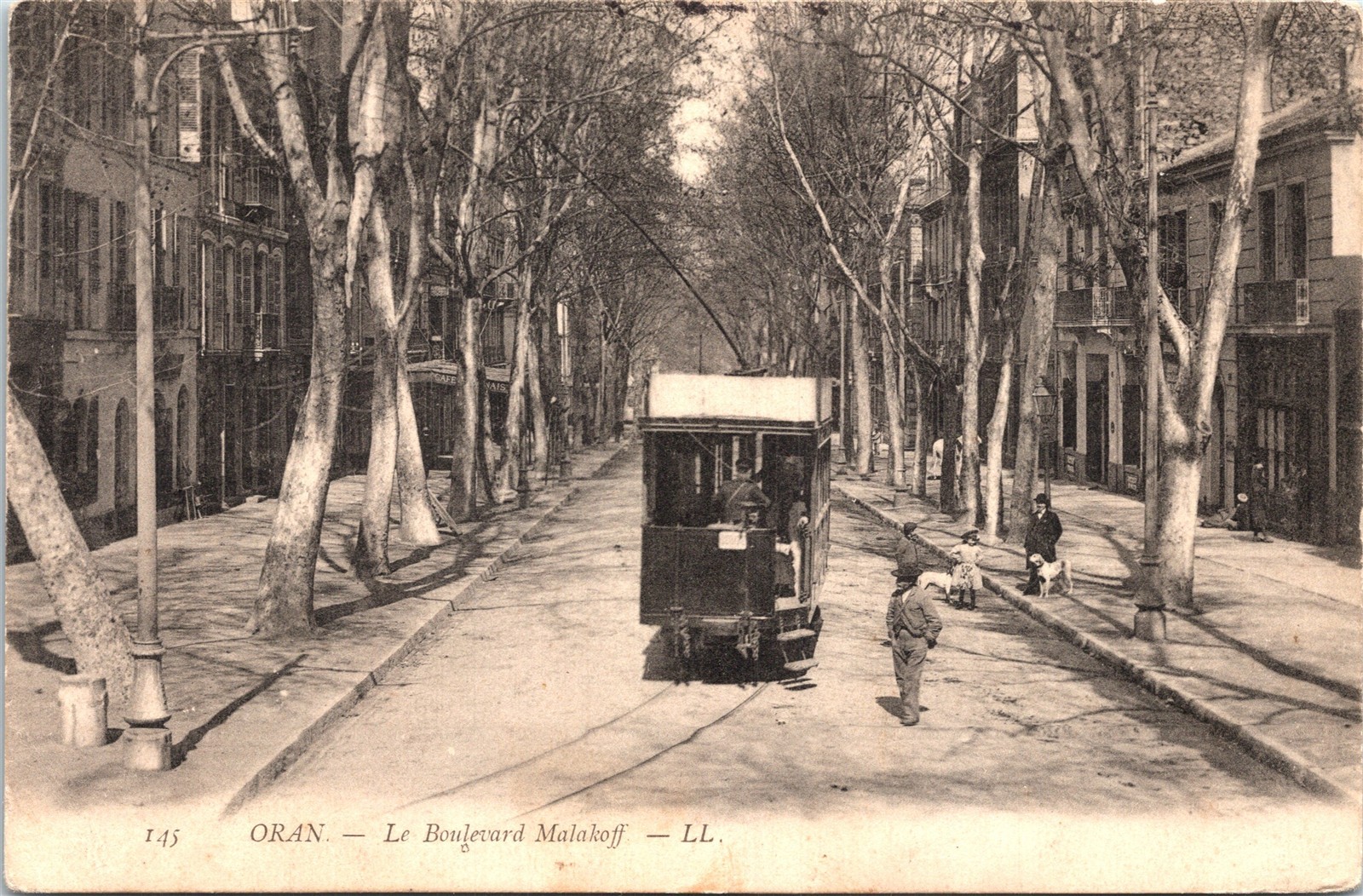 Postcard Algeria Oran Le Boulevard Malakoff Streetcar Street View 1907 A9