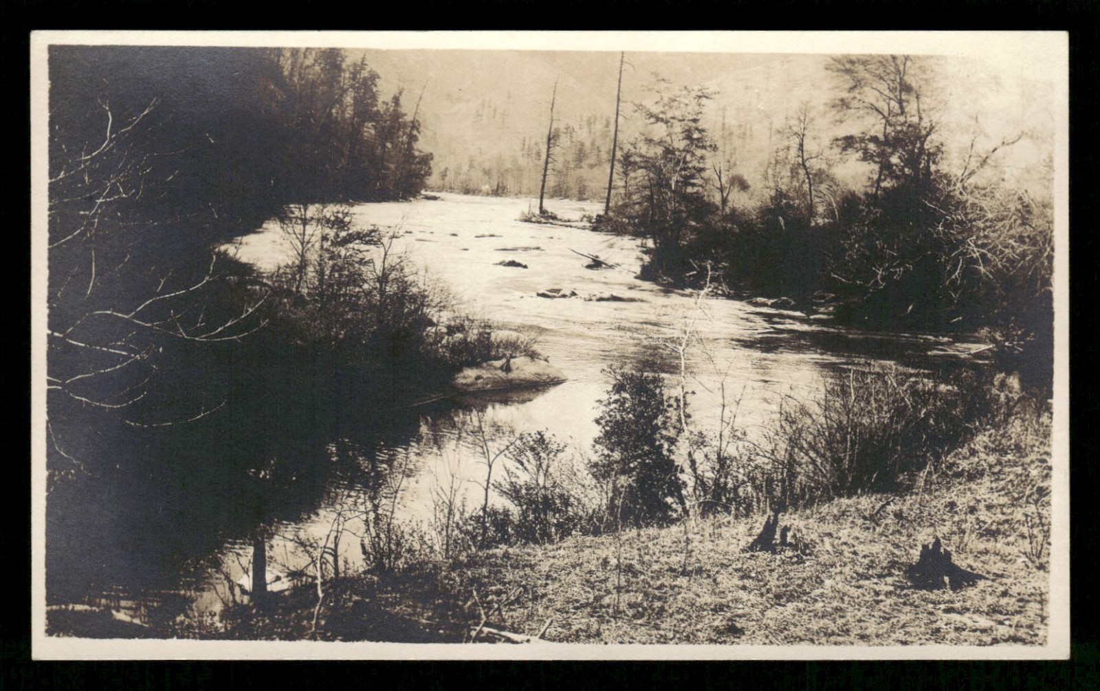 RPPC Postcard Peaceful Serene River View In Forest c1910