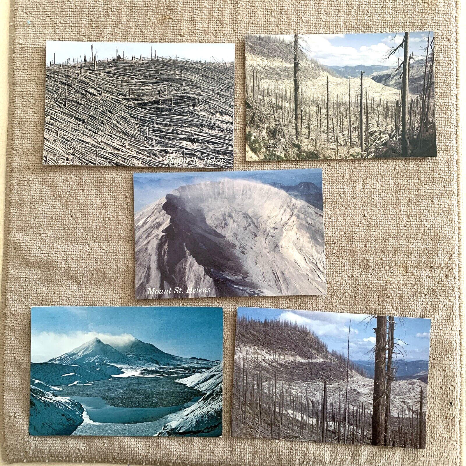 Mt St Helen WA VTG Postcards Lot of 5 Cards aftermath of eruption Pre own Photo