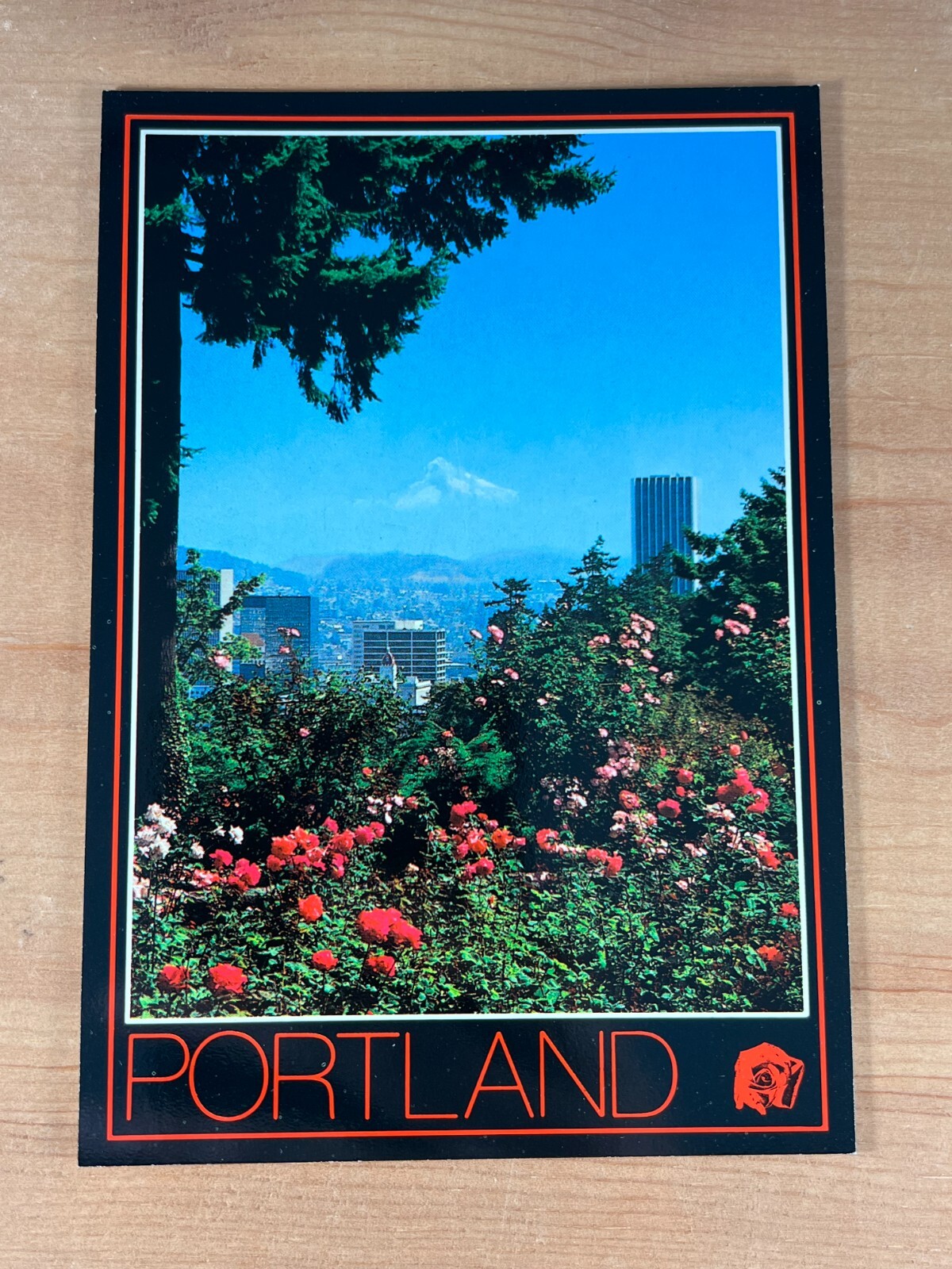 Vintage Postcard, Portland, Oregon, Rose Garden, Skyline with Mount Hood