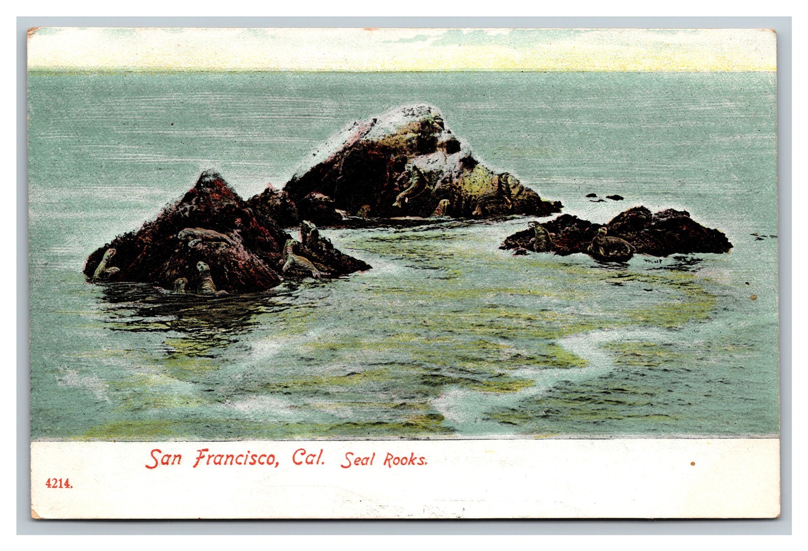 Postcard Seal Rocks San Francisco California Paul C Koeber Company pc2049