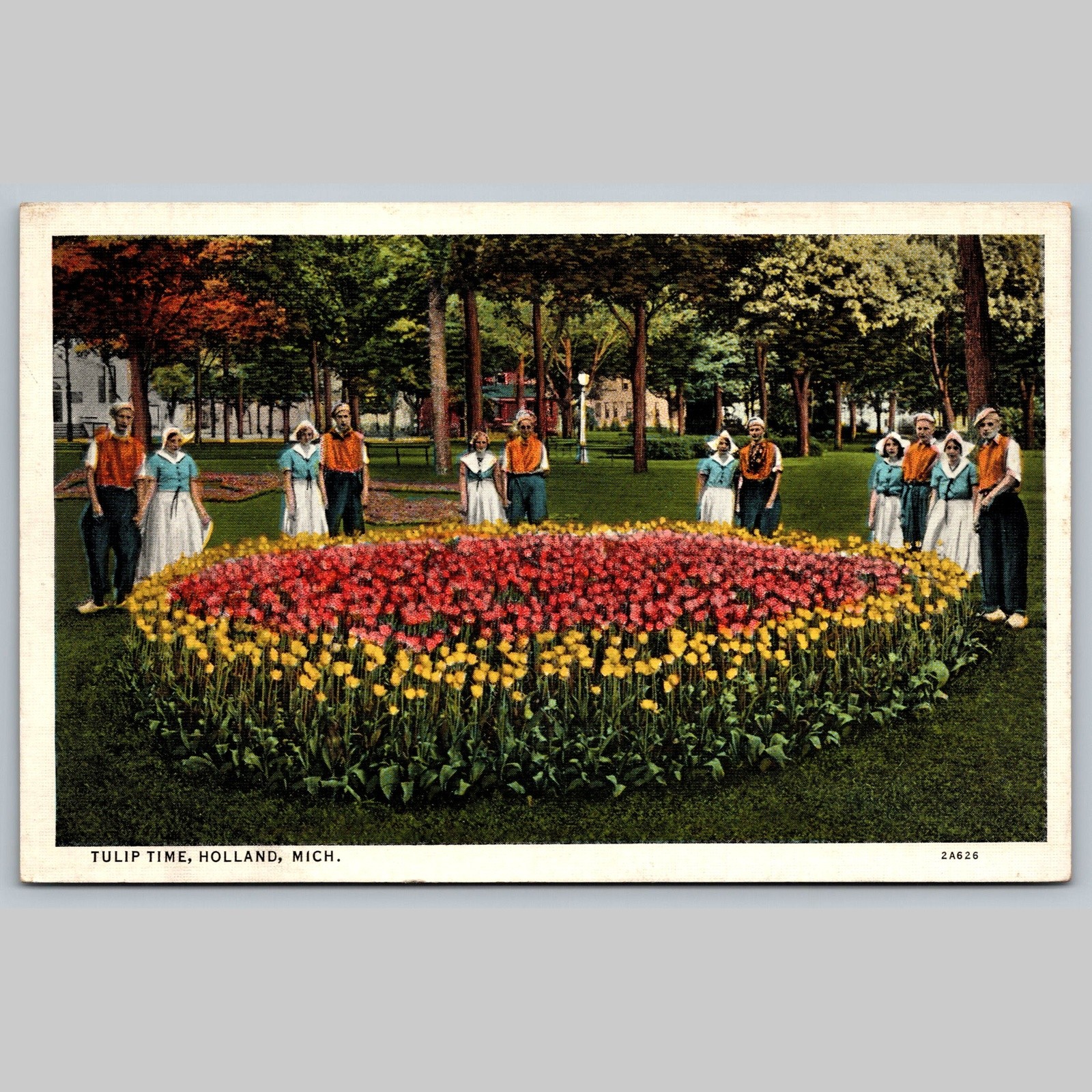 Postcard Tulip Time Holland Michigan Colorful Flowers