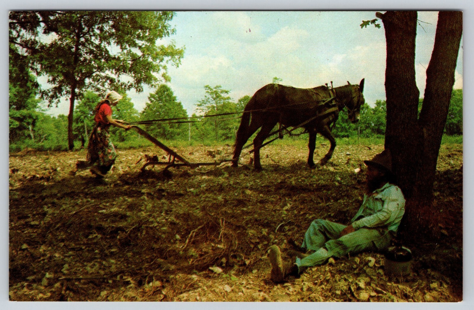 Postcard Ozarks Livin’ Hillbilly Style Woman Plough Man Seated Under Tree Humor