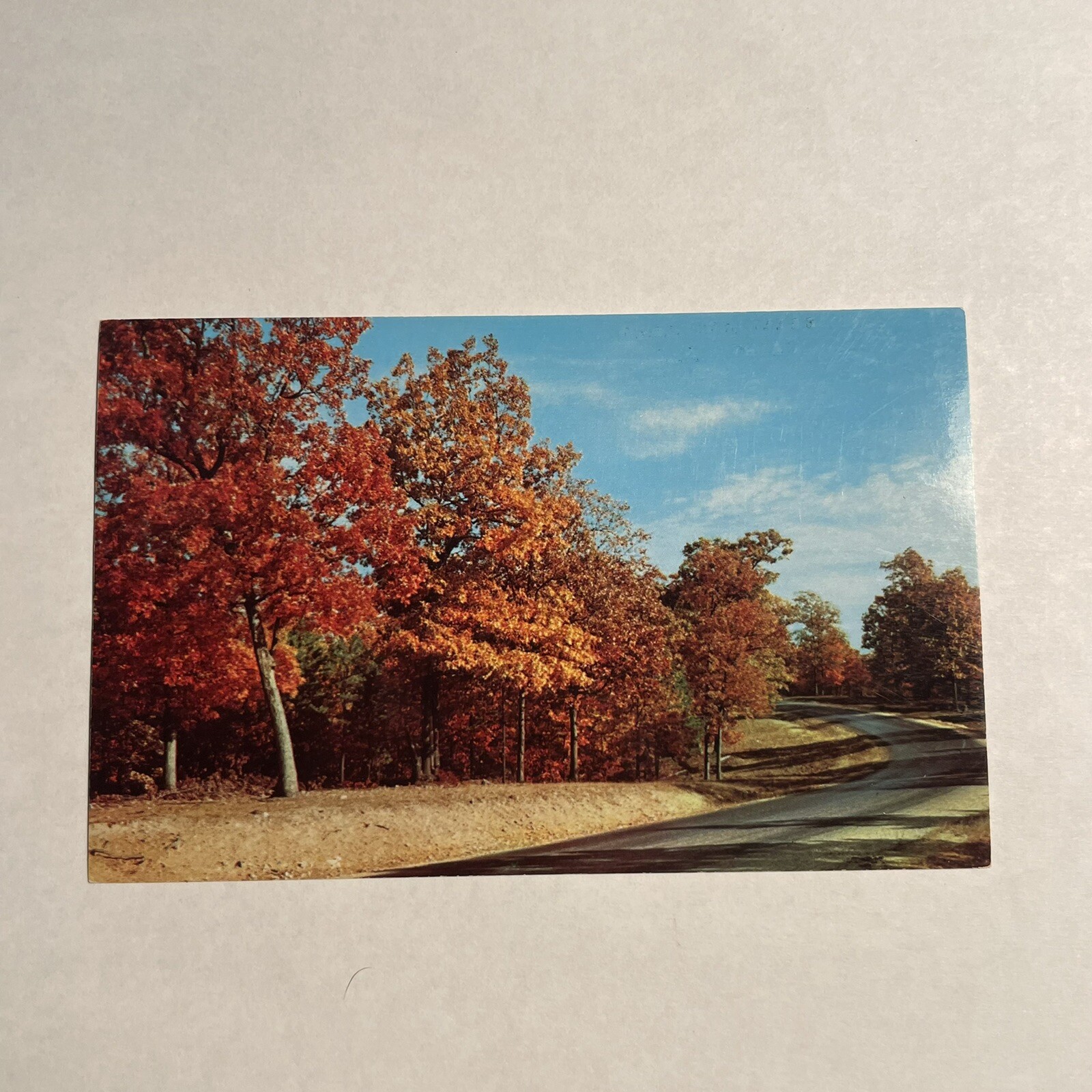 Vintage Postcard Greetings From Cairo Catskill Mountains NY New York Fall Autumn