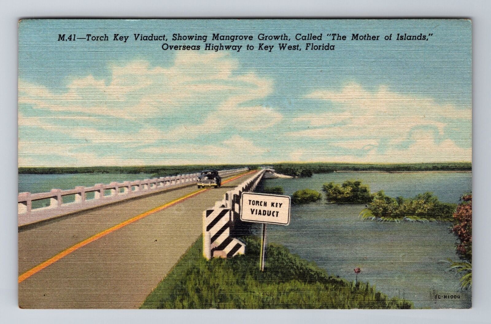 Key West FL-Florida, Torch Key Viaduct, Mangrove Growth Antique Vintage Postcard