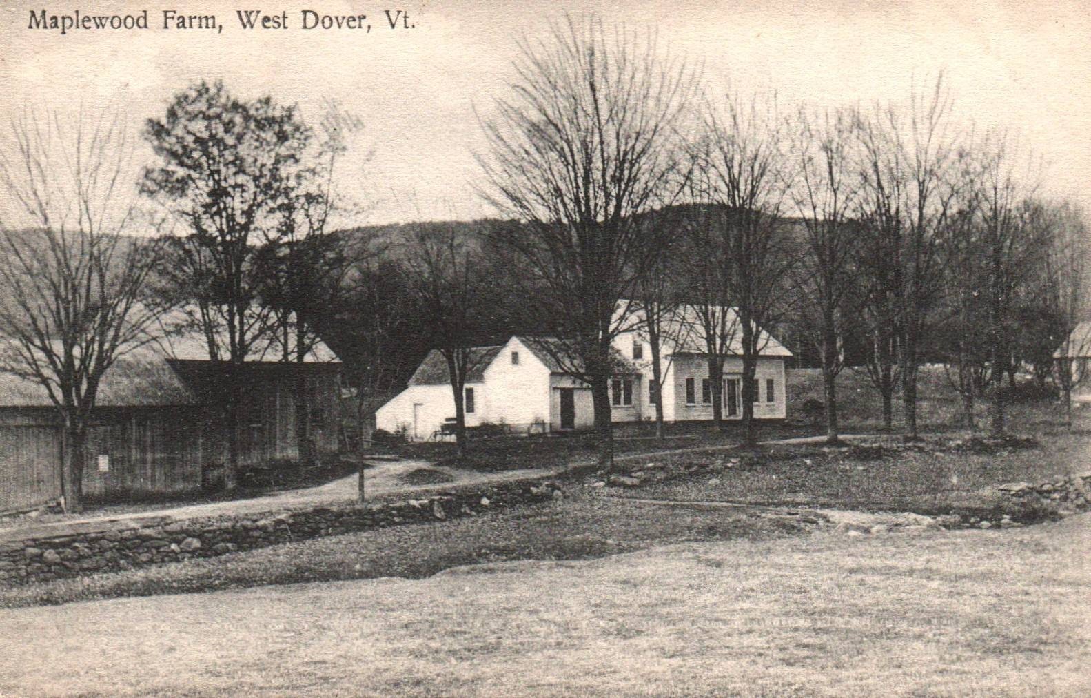MAPLEWOOD FARM In WEST DOVER, VT On Vintage Unused Postcard