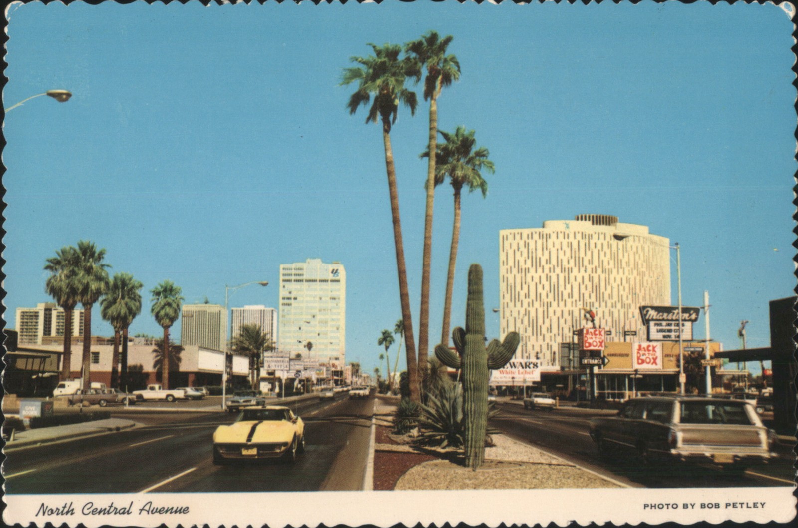 Bob Petley Phoenix, Arizona AZ North Central Avenue Original Vintage Postcard