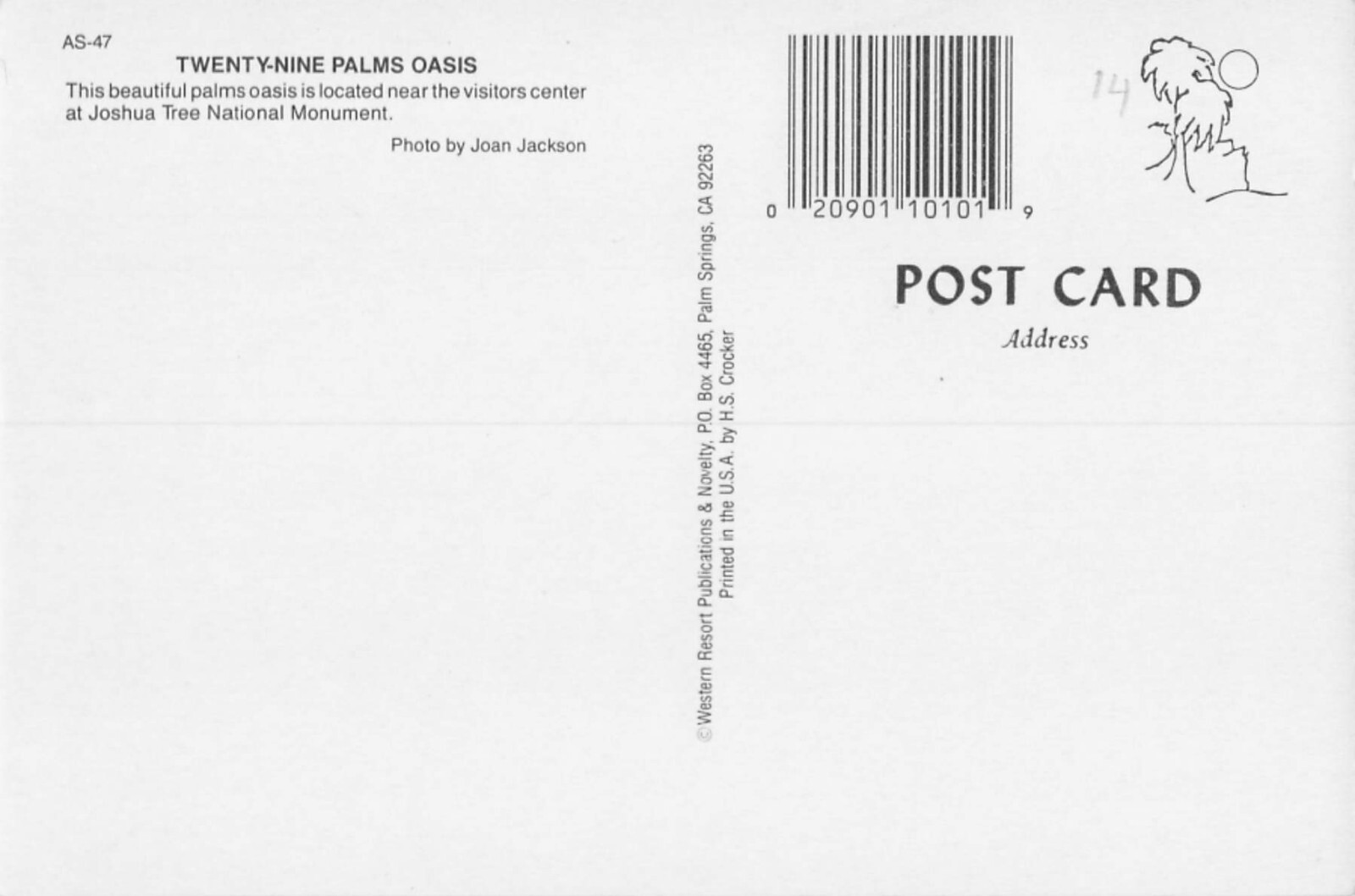 Postcard CA: Palms Oasis in Winter, Joshua Tree National Monument, California