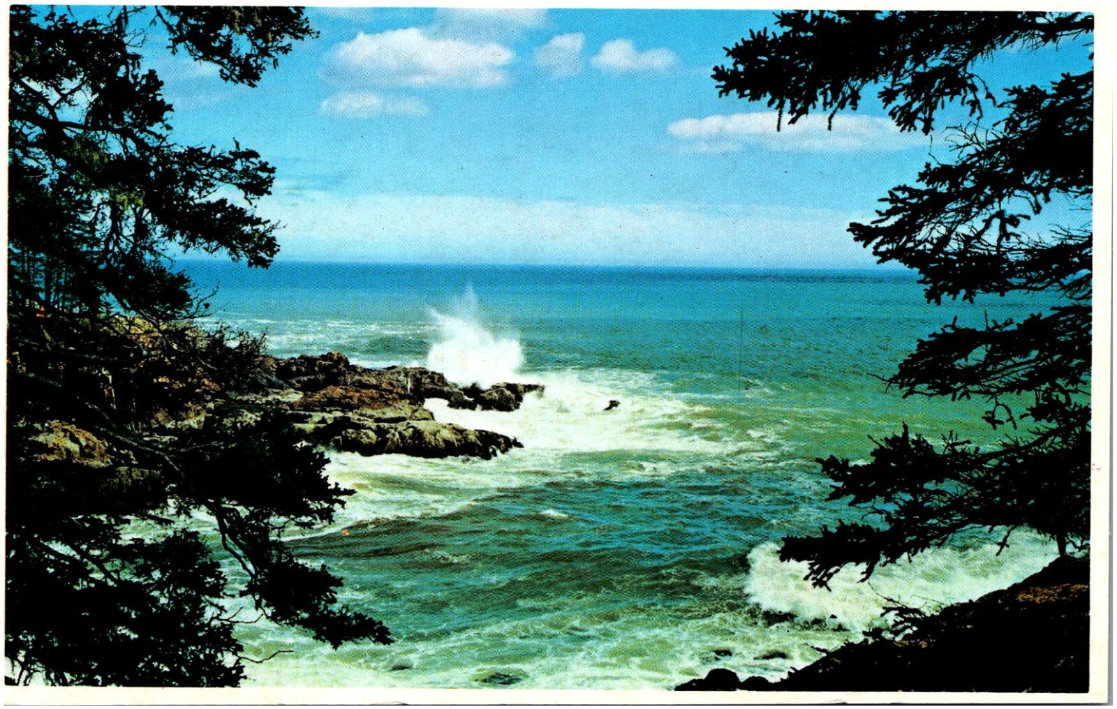 Hunter’s Cove Ocean Drive Acadia National Park Maine Scenic View Chrome Postcard